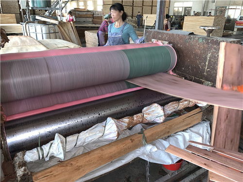 美丽中国 北林在行动 绿色胶黏剂助力人造板企业复工复产 技术升级
